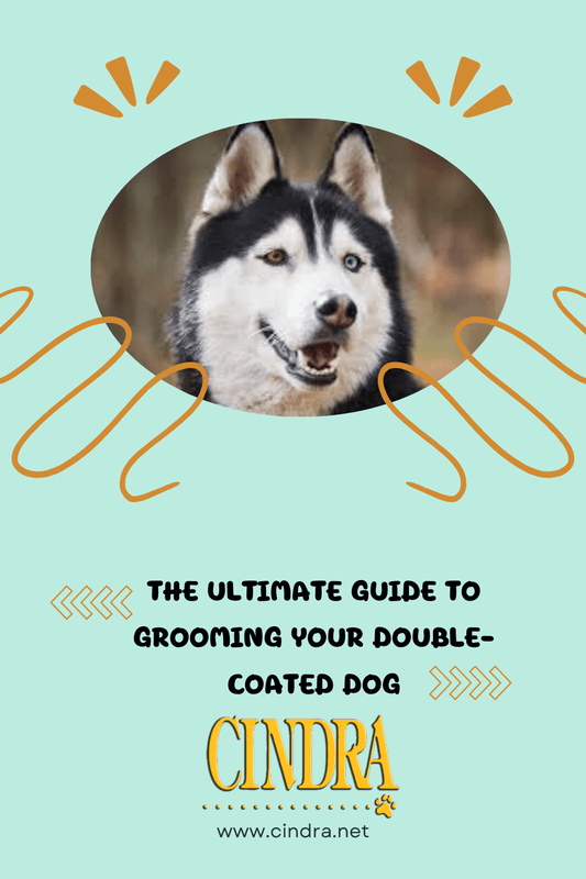 The Ultimate Guide to Grooming Your Double-Coated Dog - Cindra Pet Products