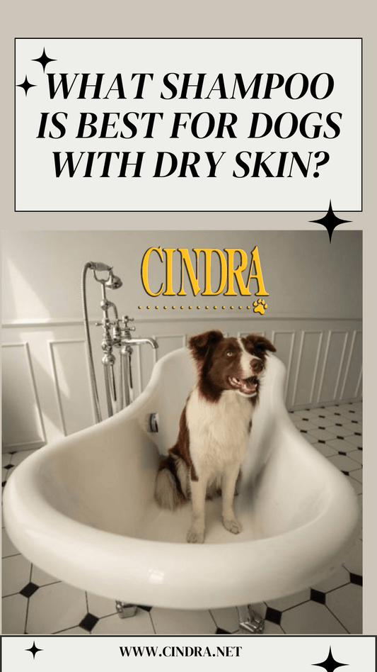 What shampoo is best for dogs with dry skin? - Cindra Pet Products