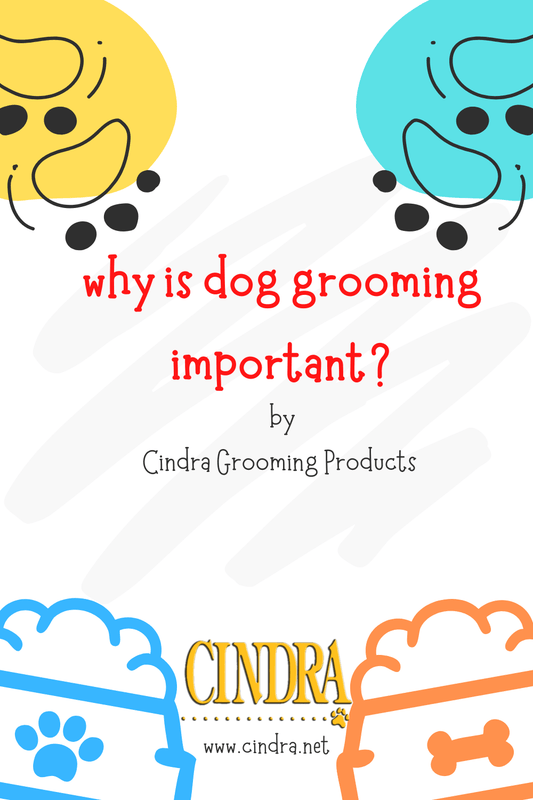 Graphic with colorful dog paw illustrations and text that reads ‘Why is Dog Grooming Important? by Cindra Grooming Products.’ Cindra logo and website appear at the bottom.