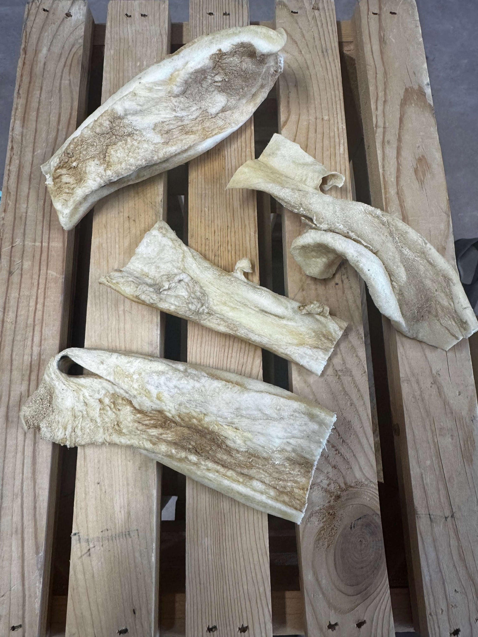 Cow hide on a pallet 