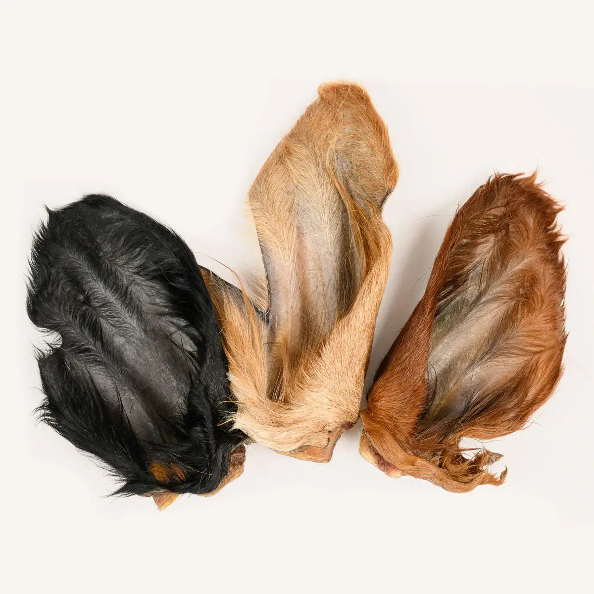 Three horse manes in black, blonde, and brown on a white background