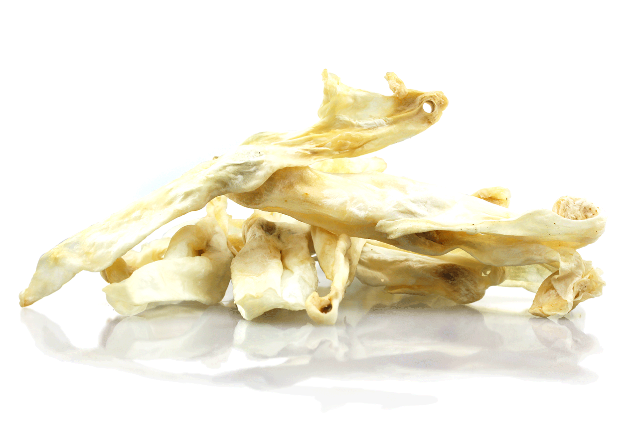 Dried Rabbit ears – Cindra Grooming Products